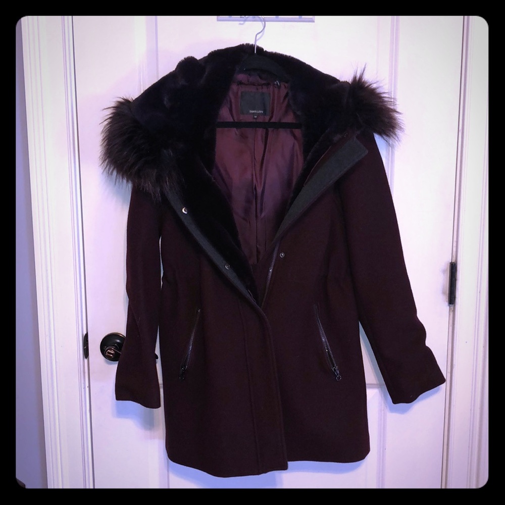 Dawn levy winter jacket